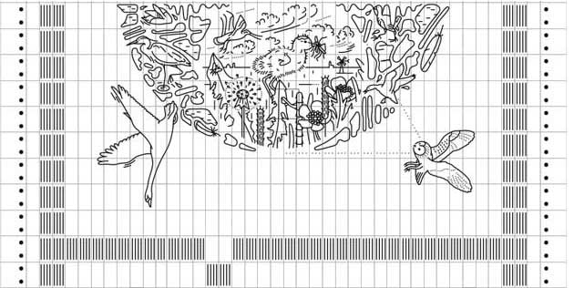 flyways-7